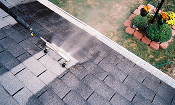 Roof Cleaning in Aurora CO Roof Cleaning Services in Aurora CO Roof Cleaning in CO Aurora Clean the roof in Aurora CO Roof Cleaner in Aurora CO Roof Cleaner in CO Aurora Quality Roof Cleaning in Aurora CO Quality Roof Cleaning in CO Aurora Professional Roof Cleaning in Aurora CO Professional Roof Cleaning in CO Aurora Roof Services in Aurora CO Roof Services in CO Aurora Roofing in Aurora CO Roofing in CO Aurora Clean the roof in Aurora CO Cheap Roof Cleaning in Aurora CO Cheap Roof Cleaning in CO Aurora Estimates on Roof Cleaning in Aurora CO Estimates in Roof Cleaning in CO Aurora Free Estimates in Roof Cleaning in Aurora CO Free Estimates in Roof Cleaning in CO Aurora